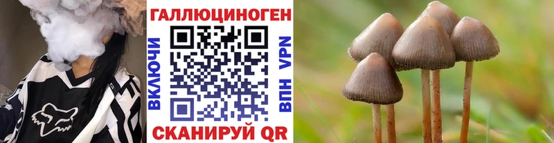 Псилоцибиновые грибы прущие грибы Теберда
